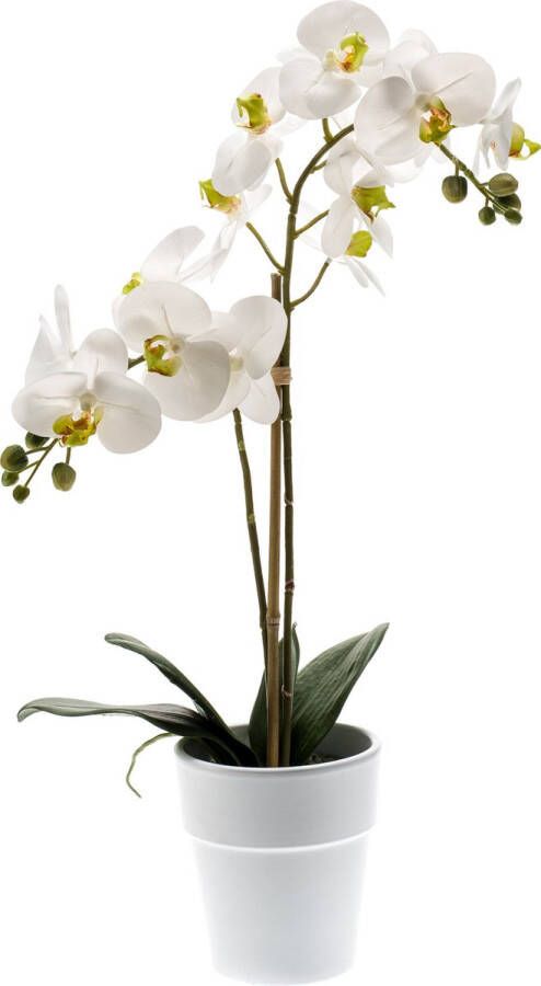 Merkloos Sans marque Witte orchidee kunstplant in kunststof pot 65 cm Orchidaceae Woondecoratie accessoires Kunstplanten Nepplanten Orchidee planten in pot