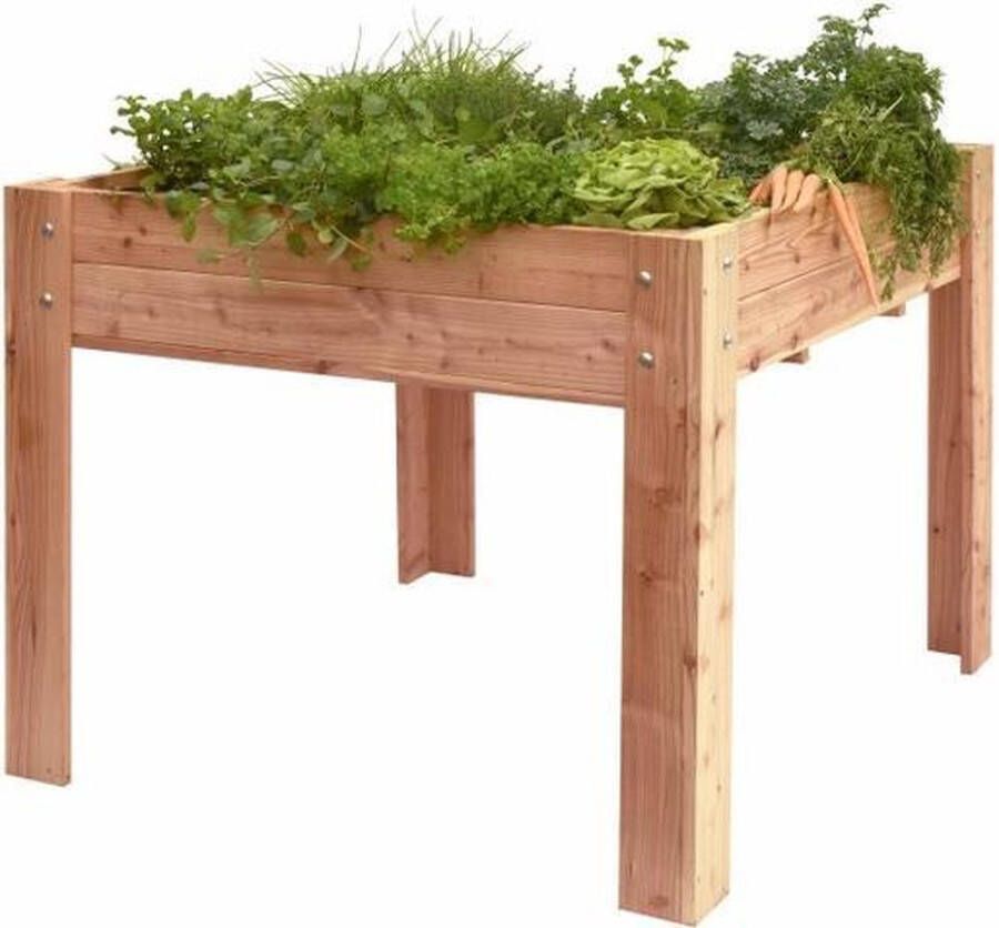 Merkloos Sans marque Woodvision Mini Garden Kweekbak Douglas Hout 100 x 100 cm