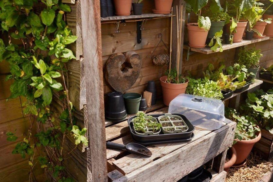Zaadkom 22 cm kweekbak voor planten 100% gerecycled kunststof groen steengroen Kweekbak