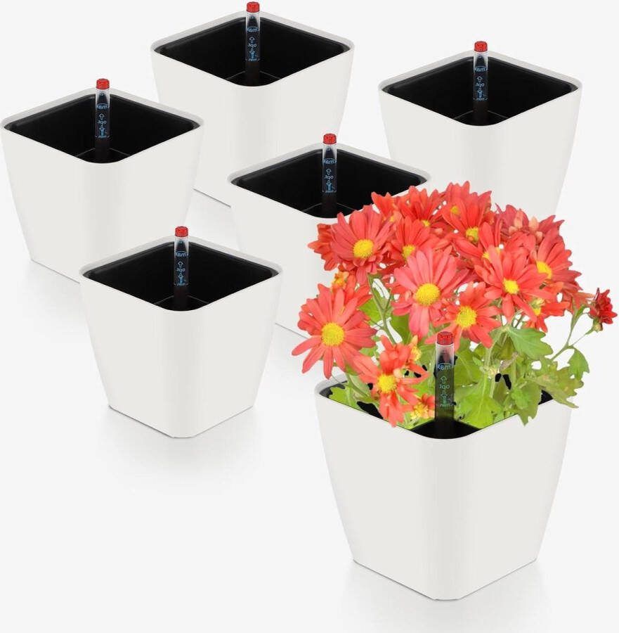 Zelfbewaterende kruidenpot met waterniveau-indicatoren 137 x 135 cm pot-in-potsysteem luie wit 6 stuks