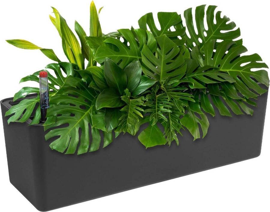 Zelfwaterende rechthoekige bloempot met waterniveau-indicatoren Zelfwaterende bloempot met drainagegaten Plantenhanger hangbloempotten met potsysteem