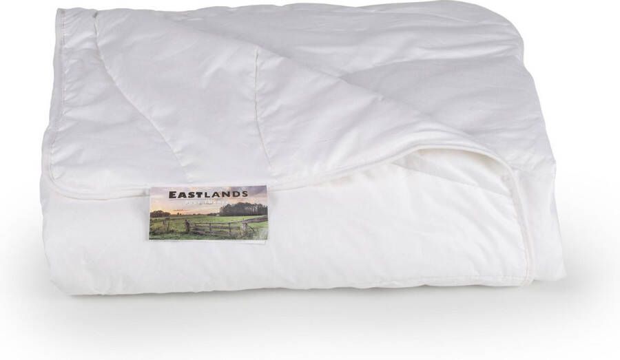 Slaaptextiel Eastlands Regge Synthetisch Enkel Dekbed-2-persoons (200x220 cm)
