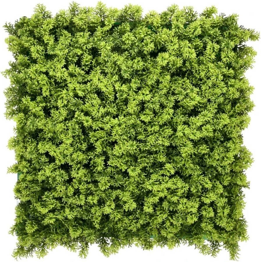 Easylawn Grass Kunstplantenmat Wandplant Kunststof Moss 1m2