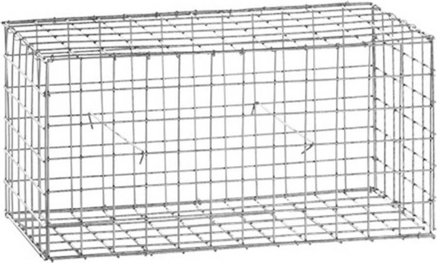 Easycloture Schanskorf Tuinhek Gegalvaniseerd Staal 60 x 30 x 30 cm 50x50mm Maas