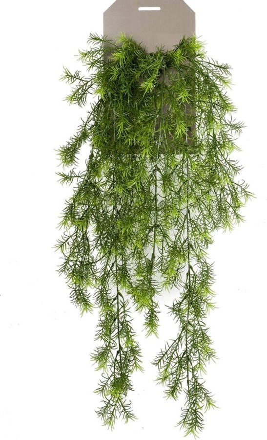 Emerald kunstplant hangplant Asparagus groen 75 cm lang Kunstplanten