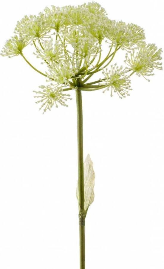 Emerald Kunstbloem Berenklauw 78 cm wit losse tak kunst zijdebloem Heracleum decoratie Kunstbloemen