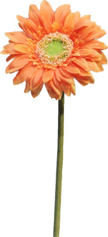 Easyplants Kunstbloem Gerbera Daisy 48 cm oranje