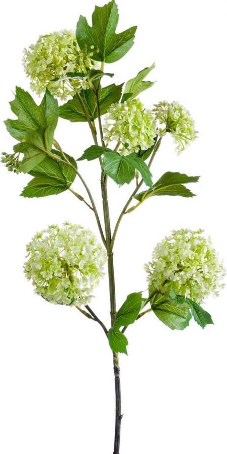 Woonexpress Kunstbloem Viburnum Groen Polyester Groen 75x0x0cm (hxbxd)