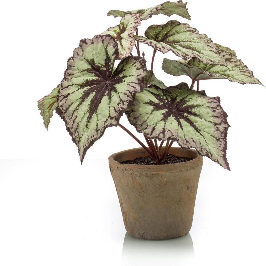 Easyplants Kunstplant Begonia grijs paars 25 cm in pot