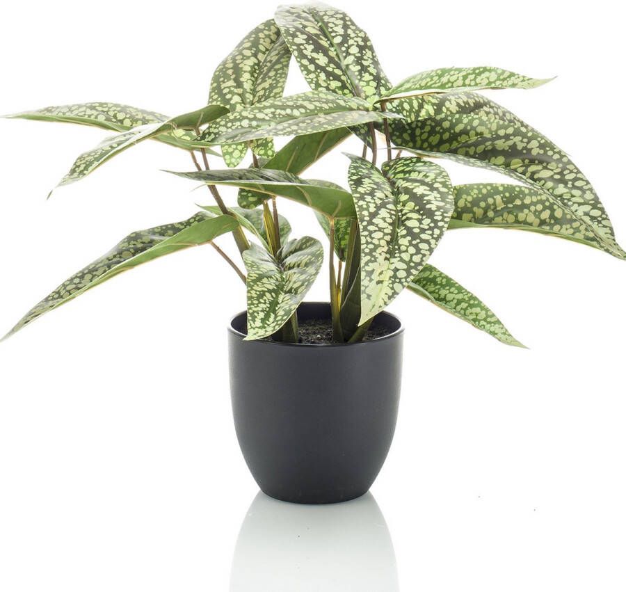 Easyplants Kunstplant Calathea 38 cm in pot groen wit