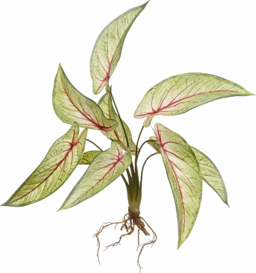 Easyplants Kunstplant Calathea Groen Polyester Groen Rood 40x0x0cm (hxbxd) Woonexpress
