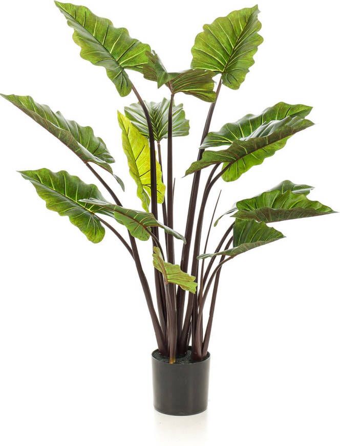 Easyplants Kunstplant Colocasia 130 cm