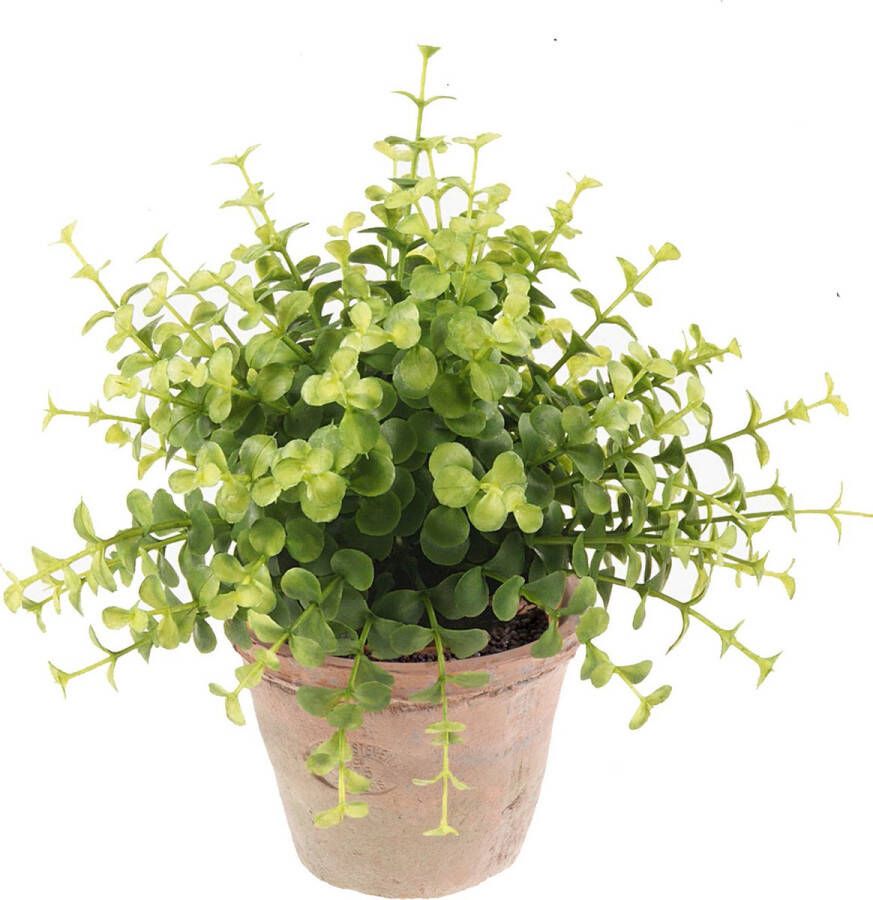 Merkloos Groene kunstplant eucalyptus plant in pot Kunstplanten