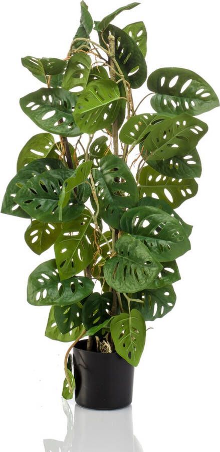 Easyplants Kunstplant Monstera Monkey op stam 75 cm