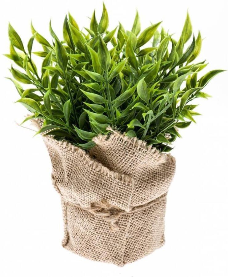 Shoppartners Kunstplant muizendoorn kruiden groen in pot 20 cm