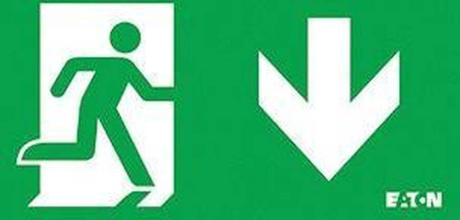 Eaton Blessing NexiTech Pictogram Noodverlichting NEXI-PICTO-D E3CUT