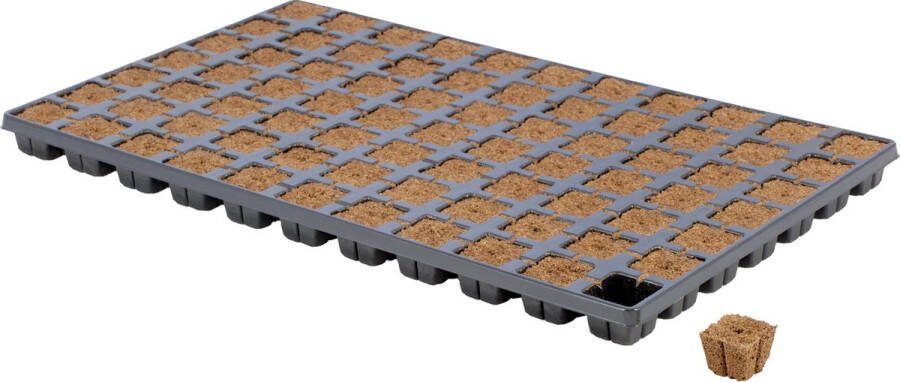 EAZY PLUG zaaitray en stektray met 77 pluggen 3 5 x 3 5 x 3 cm Biobased