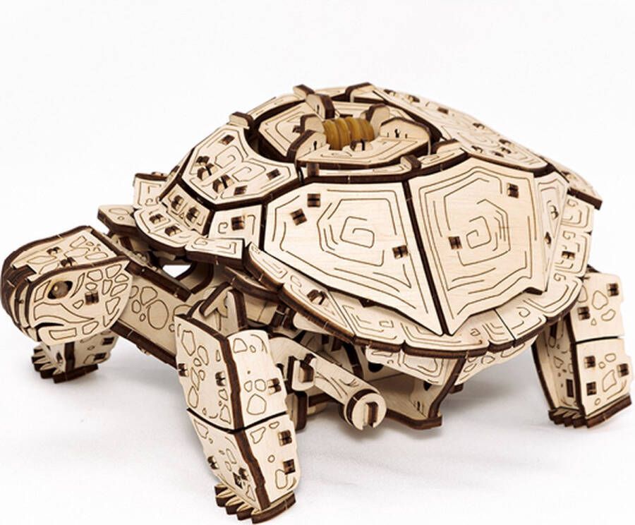 Eco-Wood-Art Schildpad Houten Modelbouw