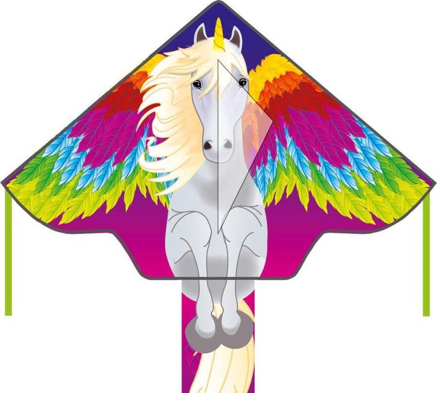 Ecoline Eenlijns Vlieger Simple Flyer Pegasus Spanwijdte 1200 mm Geschikt voor windsterkte 2 5 bft