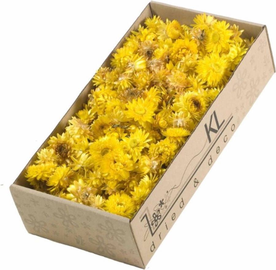 EcolinQ Dried Flowers Helichrysum heads 100gr naturel Yellow (1 Box)