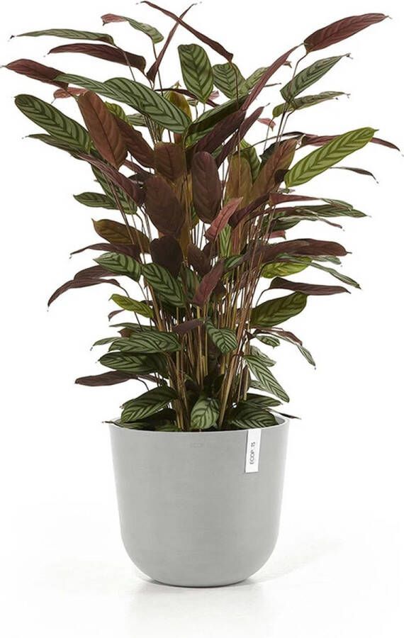 Ecopots Oslo kunststof bloempot Wit Grijs Ø 52 5 cm