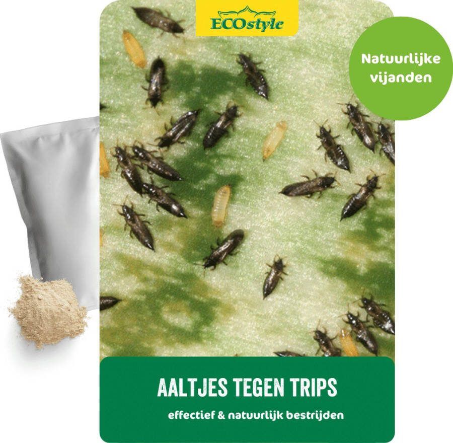 ECOstyle 5 mln Aaltjes F tegen Larven Trips Bestrijdingsmiddel Insecten Natuurlijk & Biologisch Tegen Bladschade Vanaf 10 °C Omgevingstemperatuur Werken 24 uur per Dag Voor 25 Kamerplanten