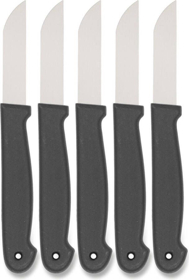 Edelstahl Schilmesje Schilmesjes 4 stuks Roestvrij staal Zwarte handvaten