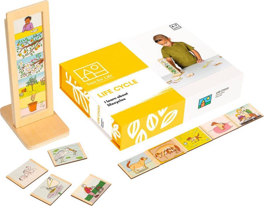 Educo Toys for Life Educatief speelgoed Ik leer over de 'Levenscyclus' Sensorisch speelgoed Spelend leren Houten speelgoed Educatief speelgoed 4 jaar
