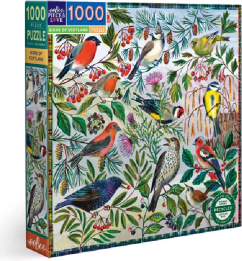 Eeboo puzzel Birds of Scotland (1000)