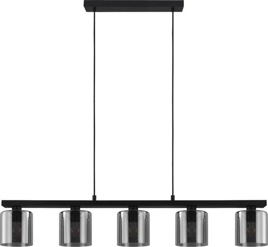 EGLO Cadley Hanglamp E27 121 cm Rookglas Smoke Zwart