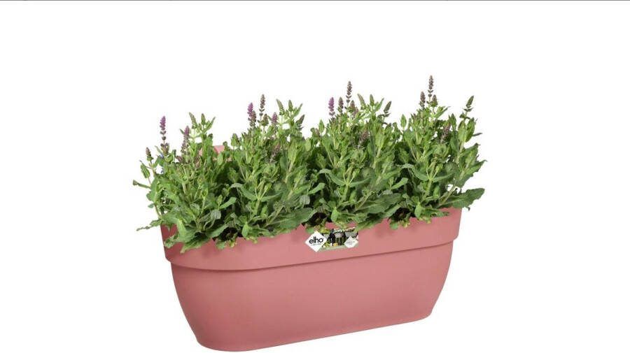 Elho balkonbak Vibia Campana Easy Hanger roze 46 x 24 1 x 26 5 cm
