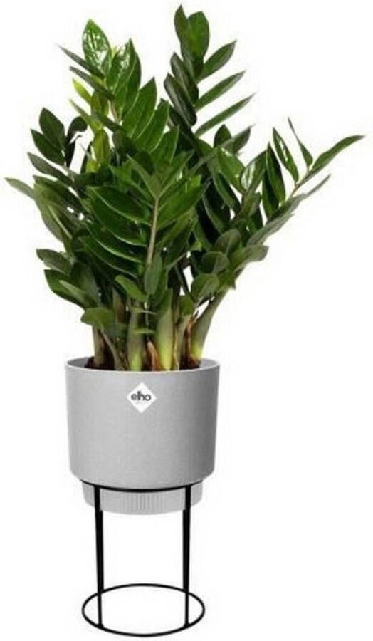 Elho B.for Studio Rond 22 Bloempot voor Binnen met Plantenstandaard 100% Gerecycled Plastic Ø 22.0 x H 38.2 cm Zwart Living Black