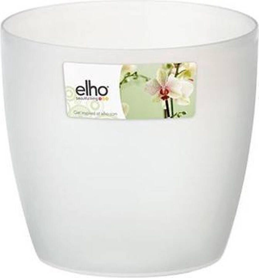 Elho brussels orchidee 12 5cm Transparant Transparant