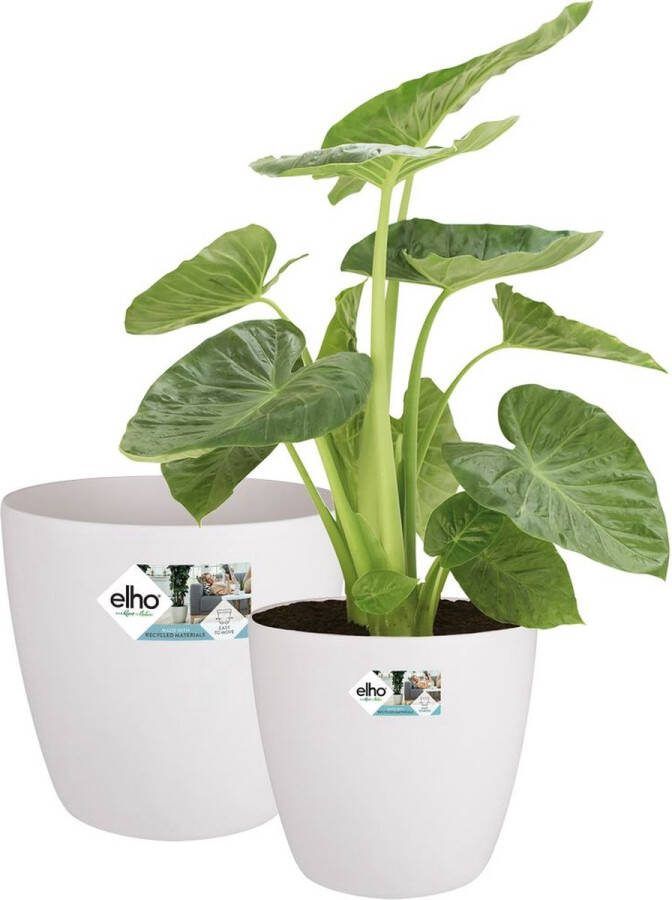 Elho Brussels Rond Wielen Grote Bloempotten voor Binnen 100% Gerecycled Plastic Set van 2 Ø 35 40 cm Wit