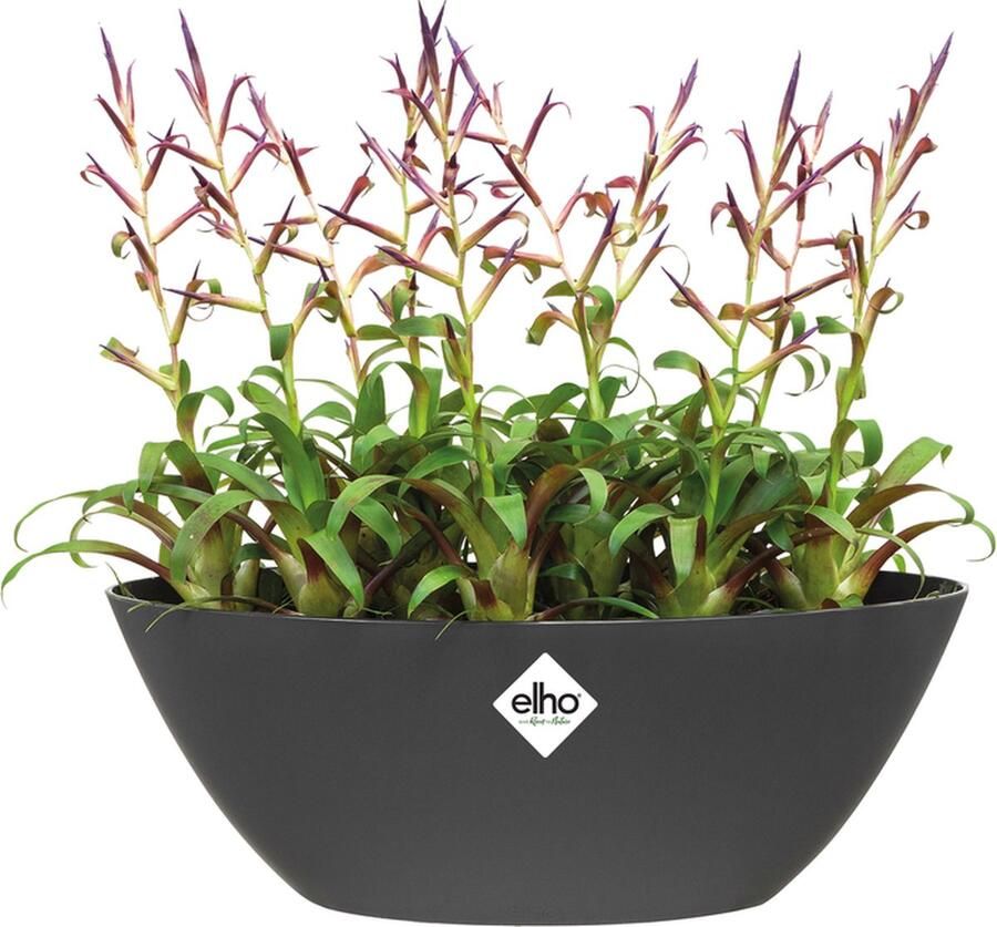 Elho Brussels Ovaal 36 Bloempot voor Binnen Ø 36.0 x H 13.1 cm Antraciet