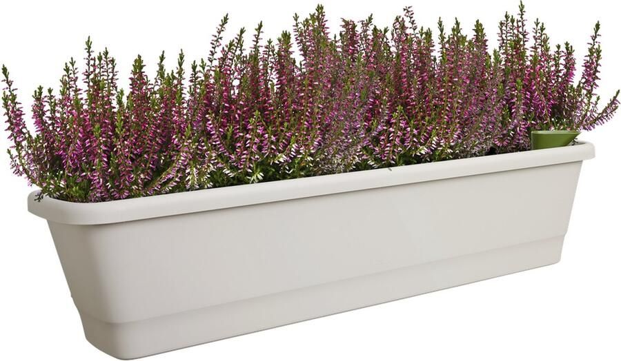 Elho Noa Balkonbak XL Balkonbak voor Buiten Waterreservoir 100% Gerecycled Plastic L78 x B20 x H17.8 cm Warm Grijs