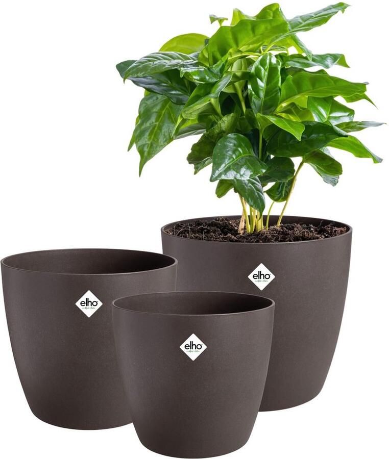 Elho the Coffee Collection Rond Bloempotten gemaakt met Koffiedik 100% Gerecycled Set van 3 Ø 14 16 18 cm Espresso Bruin