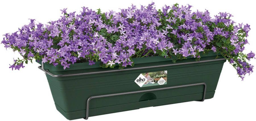 Elho Green Basics Balkonbak Allin1 50 Plantenbak voor Balkon Buiten Ø 49.0 x H 16.5 cm Blad Groen