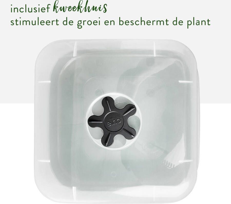 Elho Green Basics Kweekpot Vierkant Allin1 15 Kweekbak met Deksel 100% Gerecycled Plastic Ø 15.0 x H 12.1 cm Zwart Living Black