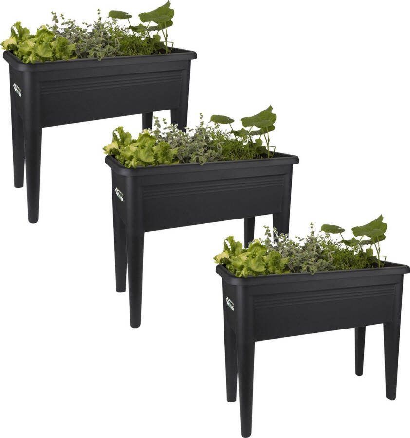 Elho Green Basics Kweektafel Kweekbenodigdheden 3 x 75.5x36.5x65.1 cm Zwart Xxl