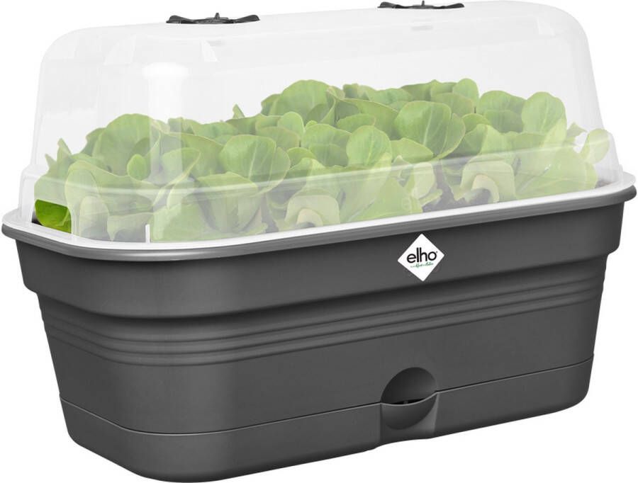Elho Green Basics Kweektray Allin1 32 Kweekbak met Deksel 100% Gerecycled Plastic Ø 32.0 x H 13.2 cm Living Black