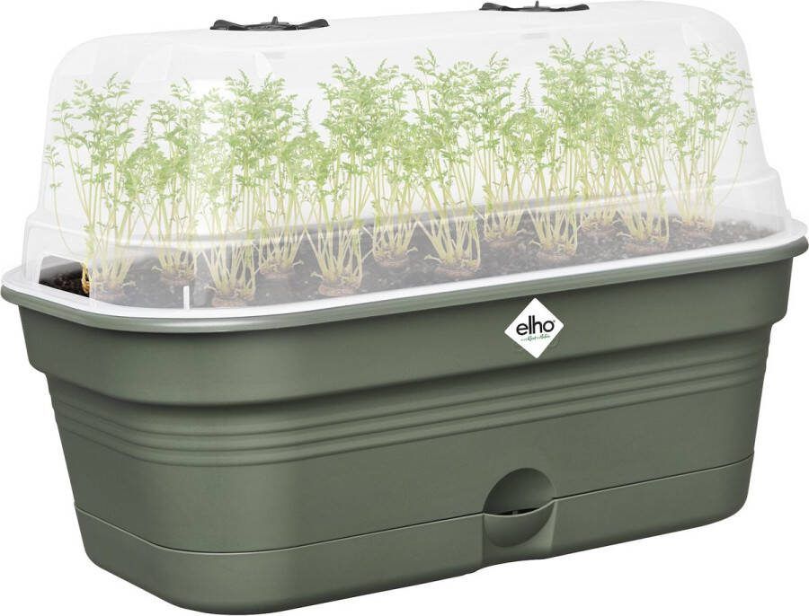 Elho Green Basics Kweektray Allin1 39 Kweekbak met Deksel 100% Gerecycled Plastic Ø 39.0 x H 15.2 cm Blad Groen