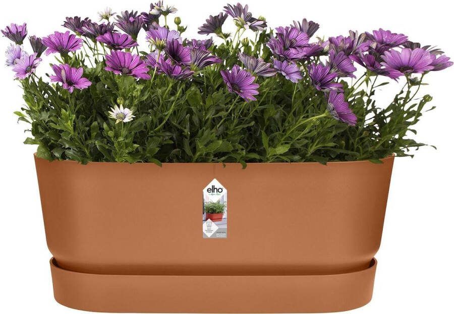 Elho Greenville Terrace Trough met Wielen Plantenbak met Waterreservoir 100% Gerecycled Plastic L58.9 x B26.3 x H33.5 cm Gemberbruin