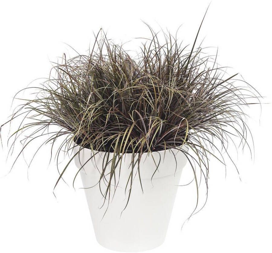 Elho Loft Urban Rond 60 Grote Bloempot voor Buiten Waterreservoir 100% Gerecycled Plastic Ø 58.0 x H 54.0 cm Wit Wit