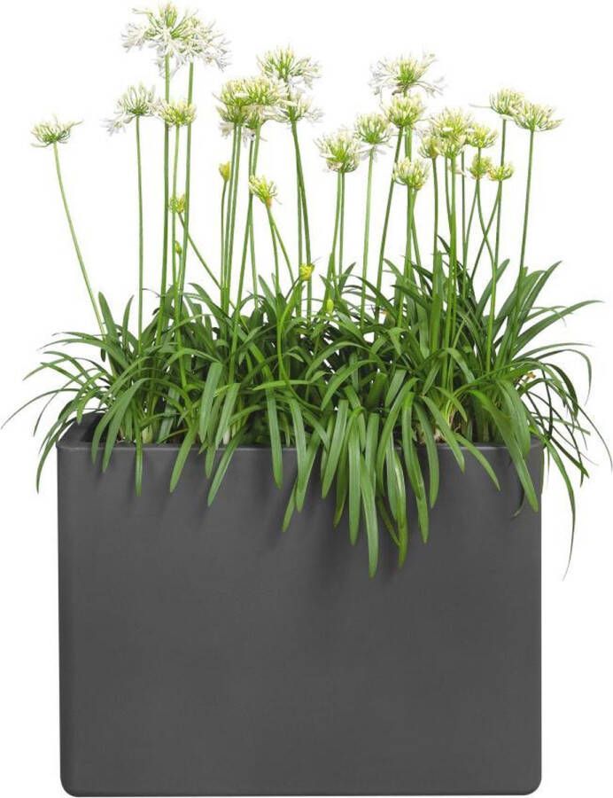 Elho Pure Soft Brick Divider Wielen 80 Groot Plantenbak Antraciet Binnen & Buiten L 79 0 x B 39 5 x H 65 0 cm