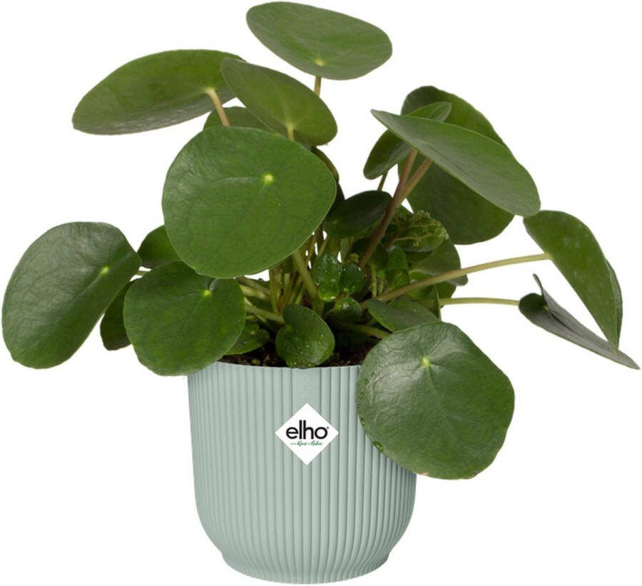 Elho Vibes Fold Rond Mini 9 Bloempot voor Binnen 100% Gerecycled Plastic Ø 9.3 x H 8.8 cm Sorbet Groen