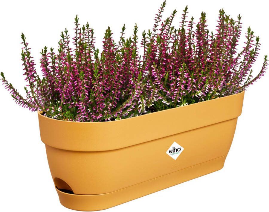 Elho Vibia Campana Balkonbak 50 Plantenbak voor Balkon Ø 49.0 x H 17.0 cm Honinggeel