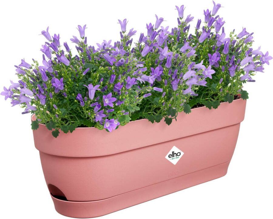 Elho Vibia Campana Balkonbak 50 Plantenbak voor Balkon Ø 49.0 x H 17.0 cm Poederroze
