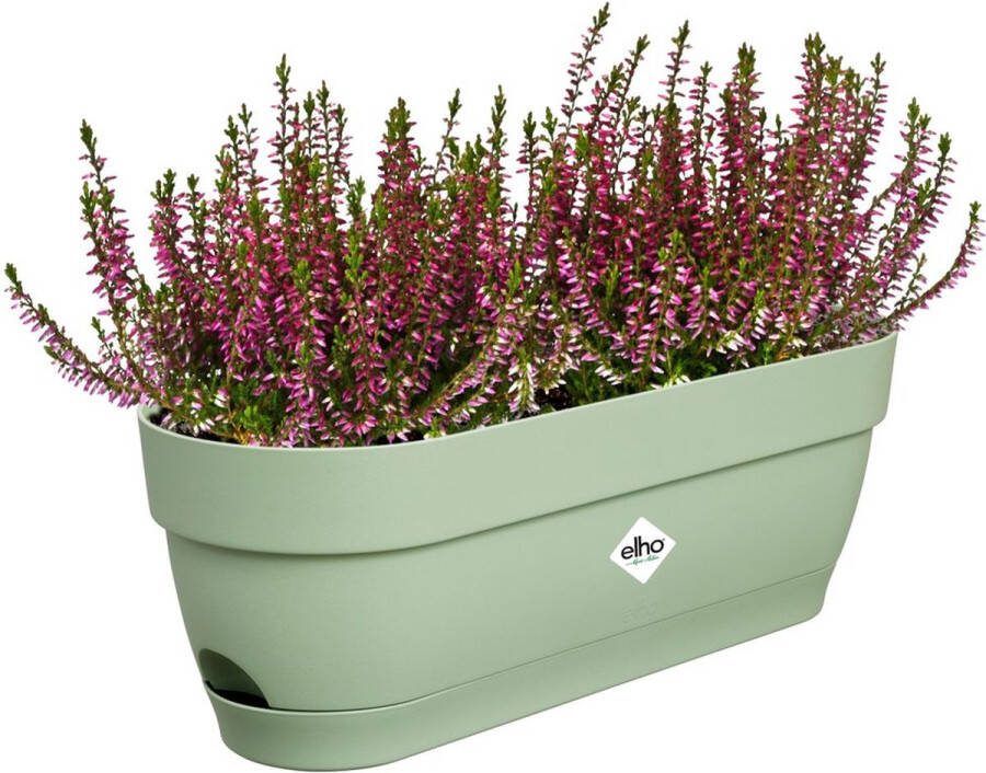 Elho Vibia Campana Balkonbak 50 Plantenbak voor Balkon Ø 49.0 x H 17.0 cm Pistachegroen