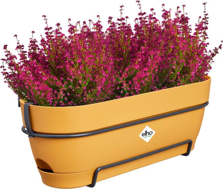 Elho Vibia Campana Balkonbak Allin1 50 Plantenbak voor Balkon Ø 50.4 x H 17.7 cm Geel Honinggeel